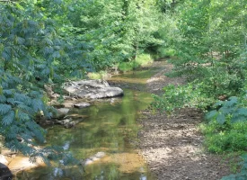 Rare opportunity to own 1016.06+/-acres of breathtaking mountain property in Huntsville TN. Located off of Norma Road