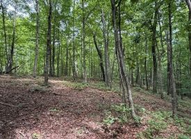 5.14+/-acres on South Pittsburg Mtn, an outdoor paradise