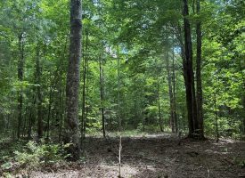 5.14+/-acres on South Pittsburg Mtn, an outdoor paradise