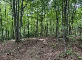 5.14+/-acres on South Pittsburg Mtn, an outdoor paradise