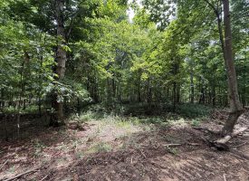 5.14+/-acres on South Pittsburg Mtn, an outdoor paradise