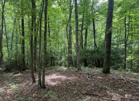 5.14+/-acres on South Pittsburg Mtn, an outdoor paradise