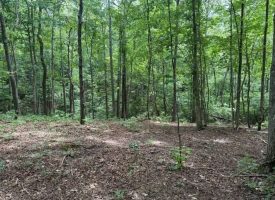 5.14+/-acres on South Pittsburg Mtn, an outdoor paradise