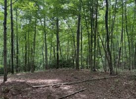 5.14+/-acres on South Pittsburg Mtn, an outdoor paradise