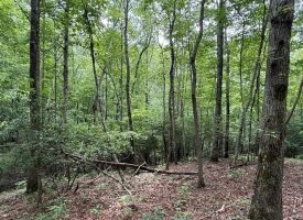 5.14+/-acres on South Pittsburg Mtn, an outdoor paradise