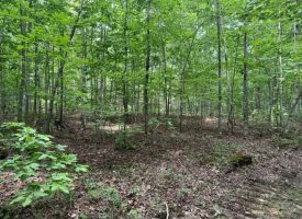 5.14+/-acres on South Pittsburg Mtn, an outdoor paradise