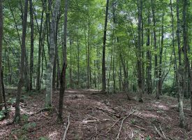 5.14+/-acres on South Pittsburg Mtn, an outdoor paradise