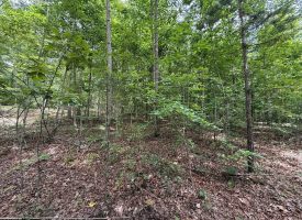 5.14+/-acres on South Pittsburg Mtn, an outdoor paradise