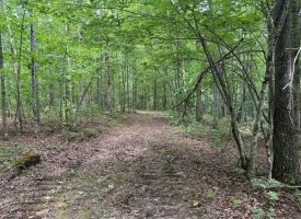 5.14+/-acres on South Pittsburg Mtn, an outdoor paradise