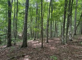 5.14+/-acres on South Pittsburg Mtn, an outdoor paradise