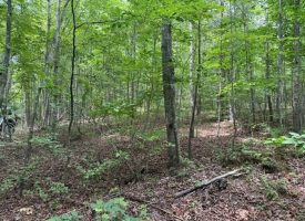 5.14+/-acres on South Pittsburg Mtn, an outdoor paradise
