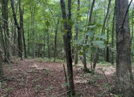 5.14+/-acres on South Pittsburg Mtn, an outdoor paradise