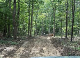 5.14+/-acres on South Pittsburg Mtn, an outdoor paradise