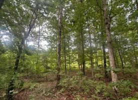 1.23+/-acres wooded lot located in the gated community of Sequatchie Point.