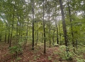 1.23+/-acres wooded lot located in the gated community of Sequatchie Point.