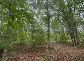 1.23+/-acres wooded lot located in the gated community of Sequatchie Point.