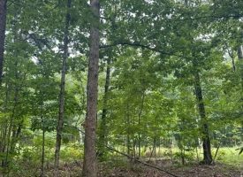 1.23+/-acres wooded lot located in the gated community of Sequatchie Point.