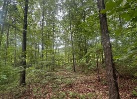 1.23+/-acres wooded lot located in the gated community of Sequatchie Point.