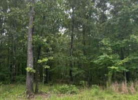 1.23+/-acres wooded lot located in the gated community of Sequatchie Point.