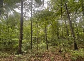 1.23+/-acres wooded lot located in the gated community of Sequatchie Point.