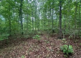 1.23+/-acres wooded lot located in the gated community of Sequatchie Point.