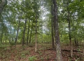 1.23+/-acres wooded lot located in the gated community of Sequatchie Point.
