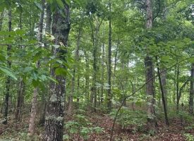 1.23+/-acres wooded lot located in the gated community of Sequatchie Point.