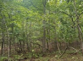 1.54+/-acres wooded lot located in the gated community of Sequatchie Point