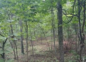 1.54+/-acres wooded lot located in the gated community of Sequatchie Point
