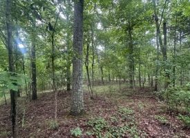 1.54+/-acres wooded lot located in the gated community of Sequatchie Point