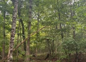 1.54+/-acres wooded lot located in the gated community of Sequatchie Point
