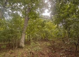 1.54+/-acres wooded lot located in the gated community of Sequatchie Point