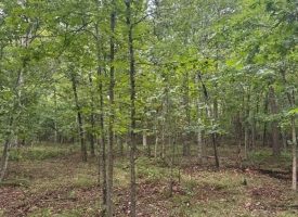1.54+/-acres wooded lot located in the gated community of Sequatchie Point