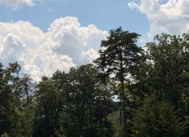 5.38+/-acres Offering stunning, pristine bluff views