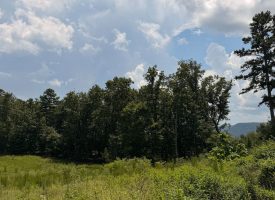 5.38+/-acres Offering stunning, pristine bluff views