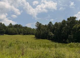 5.38+/-acres Offering stunning, pristine bluff views