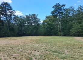 5.38+/-acres Offering stunning, pristine bluff views