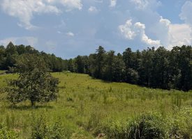 5.38+/-acres Offering stunning, pristine bluff views