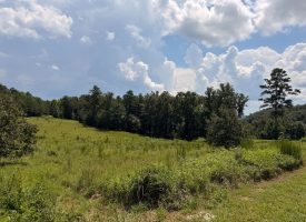 5.38+/-acres Offering stunning, pristine bluff views