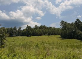 5.38+/-acres Offering stunning, pristine bluff views