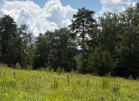 5.38+/-acres Offering stunning, pristine bluff views