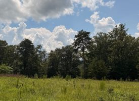 5.38+/-acres Offering stunning, pristine bluff views