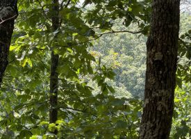 5.38+/-acres Offering stunning, pristine bluff views