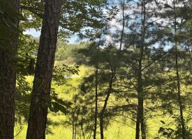 5.38+/-acres Offering stunning, pristine bluff views