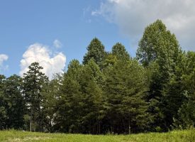 5.38+/-acres Offering stunning, pristine bluff views