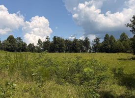 5.38+/-acres Offering stunning, pristine bluff views