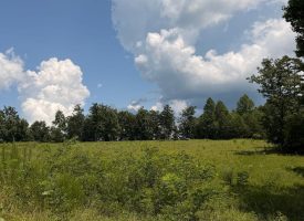 5.38+/-acres Offering stunning, pristine bluff views