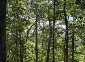 5.38+/-acres Offering stunning, pristine bluff views