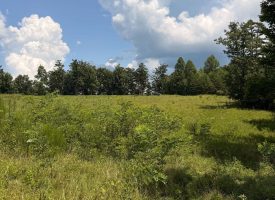 5.38+/-acres Offering stunning, pristine bluff views