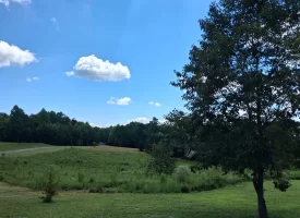 5.38+/-acres Offering stunning, pristine bluff views